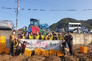 시정멘토단 고구마 나눔 봉사 boardEdit37