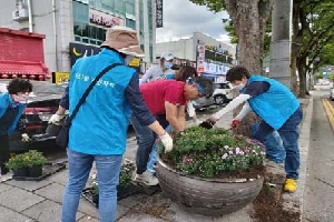 왕조1동주민자치위원회 가을꽃 식재