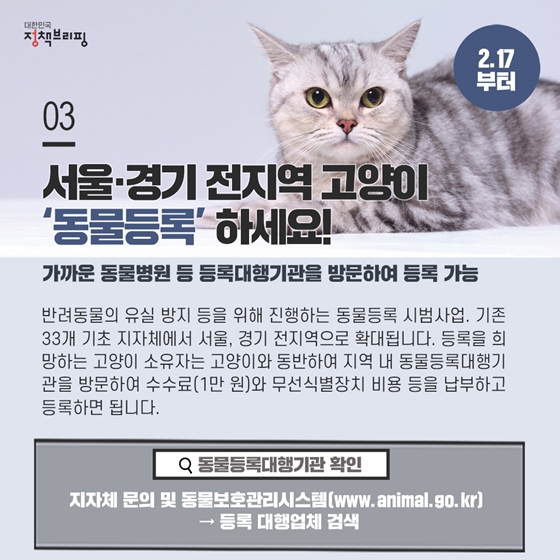 3. 서울·경기 전지역에서 고양이 동물등록이 가능해요 (2.17부터)
반려동물의 유실 방지 등을 위해 진행하는 동물등록 시범사업. 기존 33개 기초 지자체에서 서울, 경기 전지역으로 확대되었습니다. 해당 지역에 거주하는 주민만 참여가 가능하며, 내장형 무선식별장치 방식으로만 등록이 가능합니다.