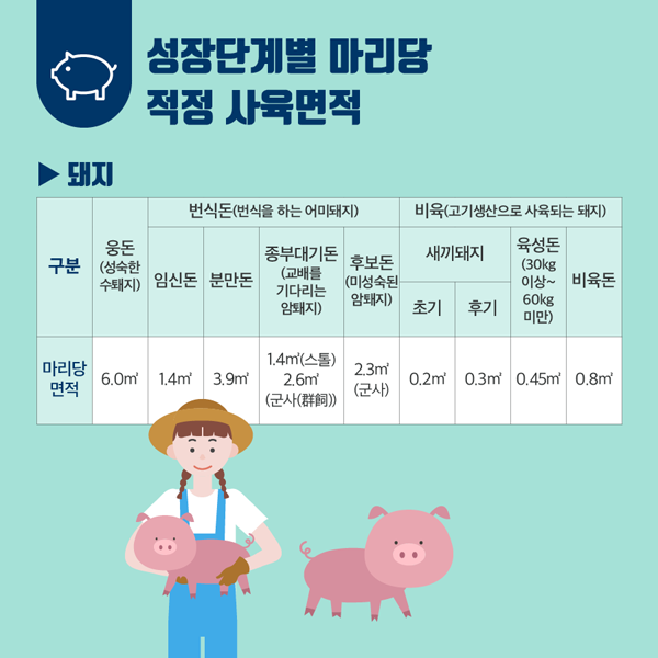 성장단게별 마리당 적정 사육면적
돼지