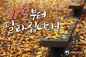 11월부터 달라집니다.