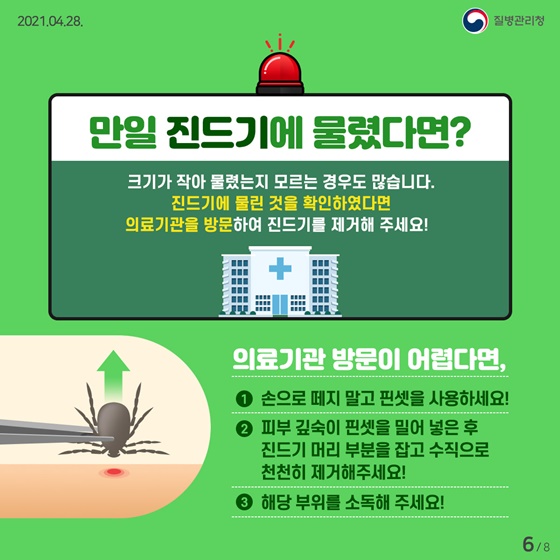 Q. 만일 진드기에 물렸다면?
크기가 작아 물렸는지 모르는 경우도 많습니다. 진드기에 물린 것을 확인하였다면 의료기관을 방문하여 진드기를 제거해 주세요!