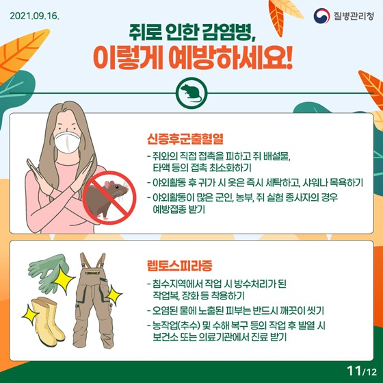 ◆ 쥐로 인한 감염병, 이렇게 예방하세요!
- 신증후군출혈열 
• 쥐와의 직접 접촉을 피하고 쥐 배설물, 타액 등의 접촉 최소화하기 
- 렙토스피라증
• 침수지역에서 작업 시 방수처리가 된 작업복, 장화 등 착용하기