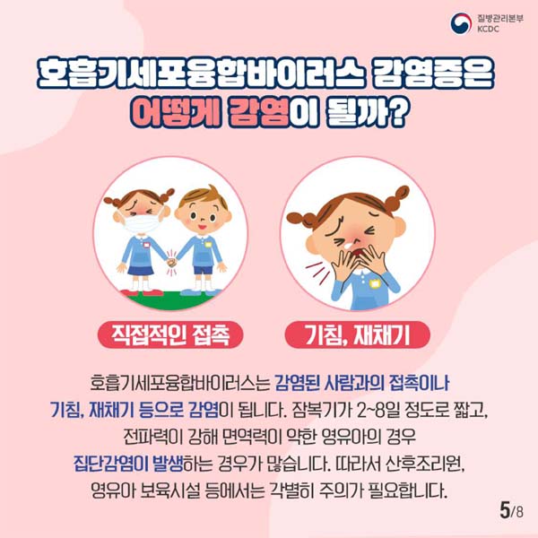 호흡기세포융합바이러스 감염증은 어떻게 감염이 될까?
호흡기세포융합바이러스 감염된 사랍과의접촉이나 기침, 재채기 등으로 감염이 됩니다.
잠복기가 2~8일 정도로 짧고, 전파력이 강해 면역력이 약한 영유아의 경우 집단감염이 발생하는 경우가 많습니다.