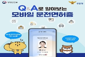 Q&A로 알아보는 모바일 운전면허증