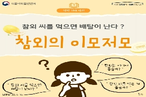 참외 씨를 먹으면 배탈이 난다? 
참외의 이모 저모