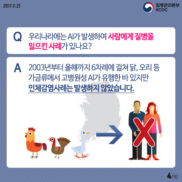 Q 우리나라에는 AI가 발생하여 사람에게 질별을 일으킨 사례가 있나요?
A 2003년부터 올해까지 6차례에 걸쳐 닭, 오리 등 가금류에서 고병원성 AI가 유행한 바 있지만 인체감염사례는 발생하지 않았습니다.