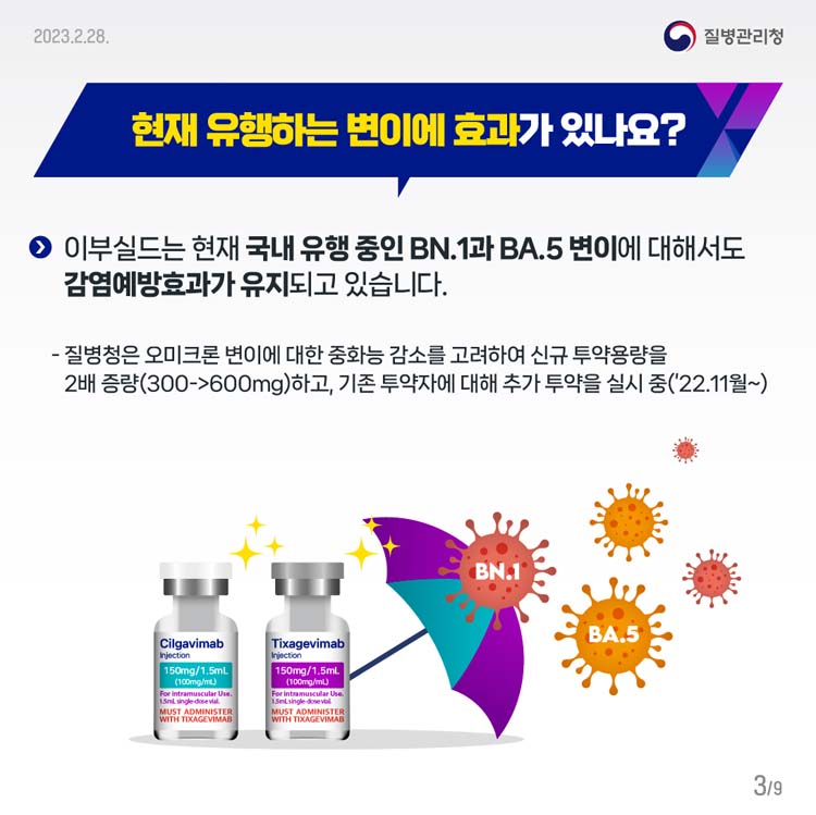 현재 유행하는 변이에 효과가 있나요?
이부실드는 현재 국내 유행 중인 BN.1과 BA.5 변이에 대해서도 감염예방효과가 유지되고 있습니다.
- 질병청은 오미크론 변이에 대한 중화능 감소를 고려하여 신규 투약용량을 2배 증량(300→600mg)하고,
기존 투약자에 대해 추가 투약을 실시 중(‘22.11월~)