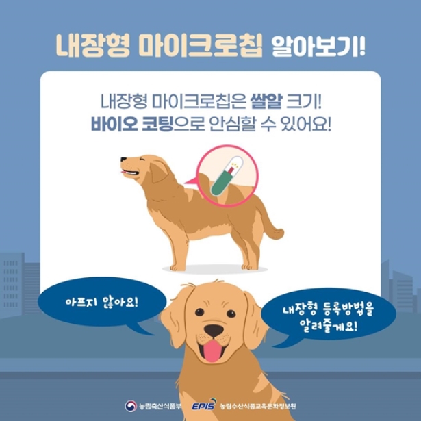 내장형 마이크로칩 알아보기!
내장형 마이크로칩은 쌀알 크기!
바이오 코팅으로 안심할 수 있어요!