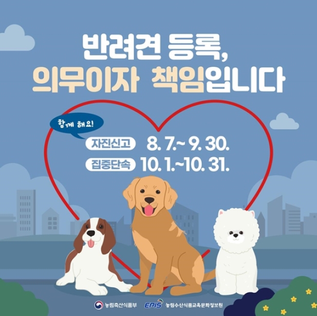 반려견 등록, 의무이자 책임입니다.
자진신고기간 : 8.7.~9.30.
집중단속기간 : 10.1.~10.31.