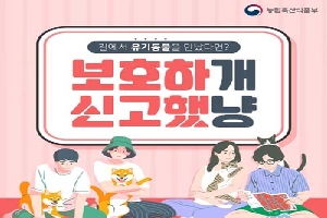 길에 버려진 유기동물을 발견했다면?
보호하개
신고했냥