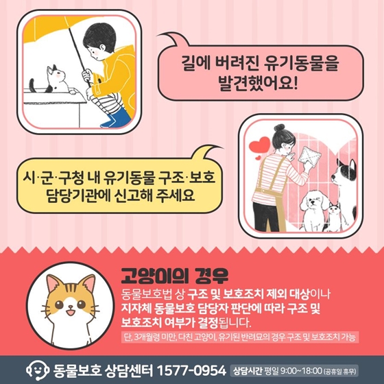 길에 버려진 유기동물을 발견했다면?
보호하개
신고했냥