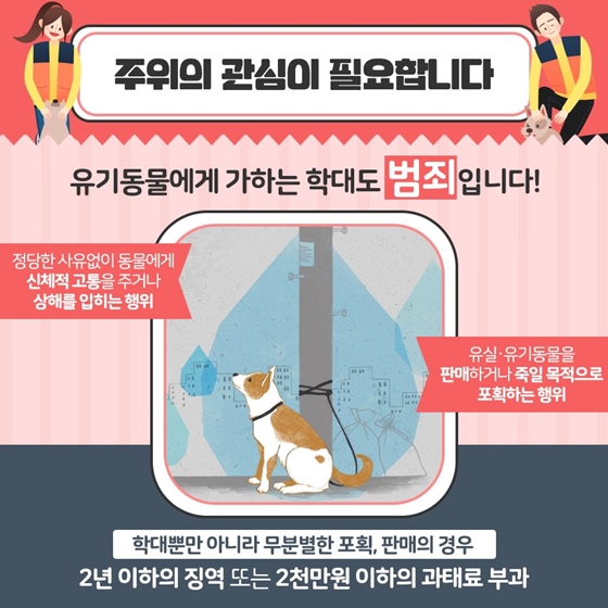 길에 버려진 유기동물을 발견했다면?
보호하개
신고했냥