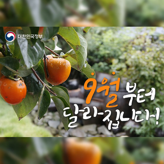 [정책달력] 
9월부터 달라집니다.