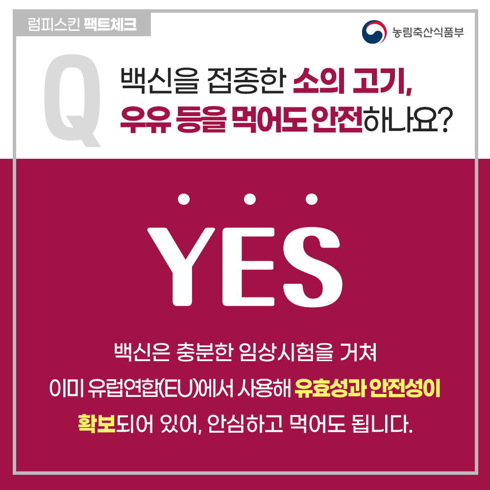 럼피스킨병 팩트체크
Q 백신을 접종한 소의 고기, 우유 등을 먹어도 안전하나요?
YES
백신은 충분한 임상시험을 거쳐 이미 유럽연햡(EU)에서 사용해 유효성과 안전성이 확보되어 있어, 안심하고 먹어도 됩니다.