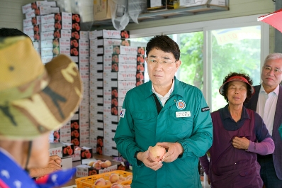 노관규 순천시장이 수확기 탄저병으로 어려움을 겪고 있는 월등면 복숭아 농가 현장을 방문하여 농가의 애로사항을 청취하고 있다