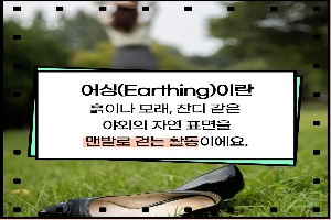 어싱(Earthing)데이 boardEdit37