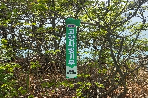 전국의 명산을 다니며 순천 고향사랑기부 응원 리본을 나뭇가지에 걸어둔 사진