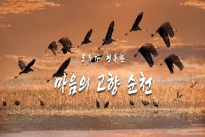 모두가 행복한 마음의 고향 순천
(순천만생태공원 갈대밭에 흑두루미가 무리지어 날고 있는 모습)