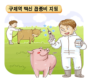 구제역 백신 접종비 지원 수의사들이 소와 돼지에게 백신 주사를 주는 그림