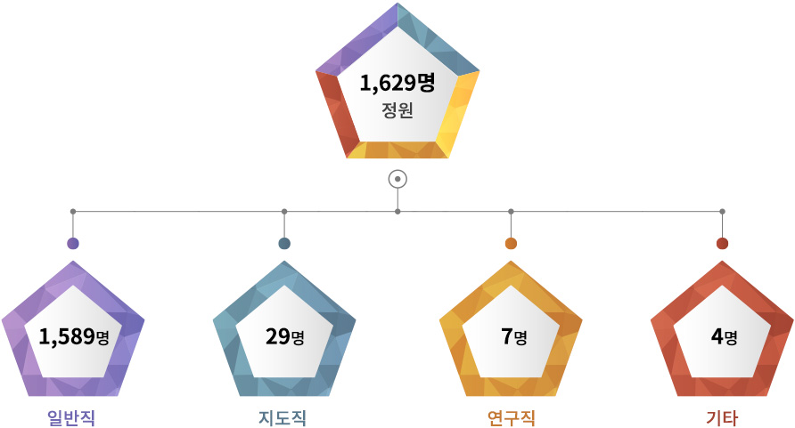 정원:1629명 - 일반직:1589명, 지도직:29명, 연구직:7명, 기타:4명