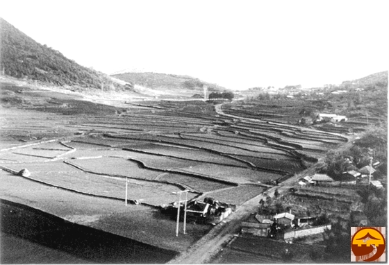 1960년대 삼산동 망북을 위에서 바라본 벌판의 모습