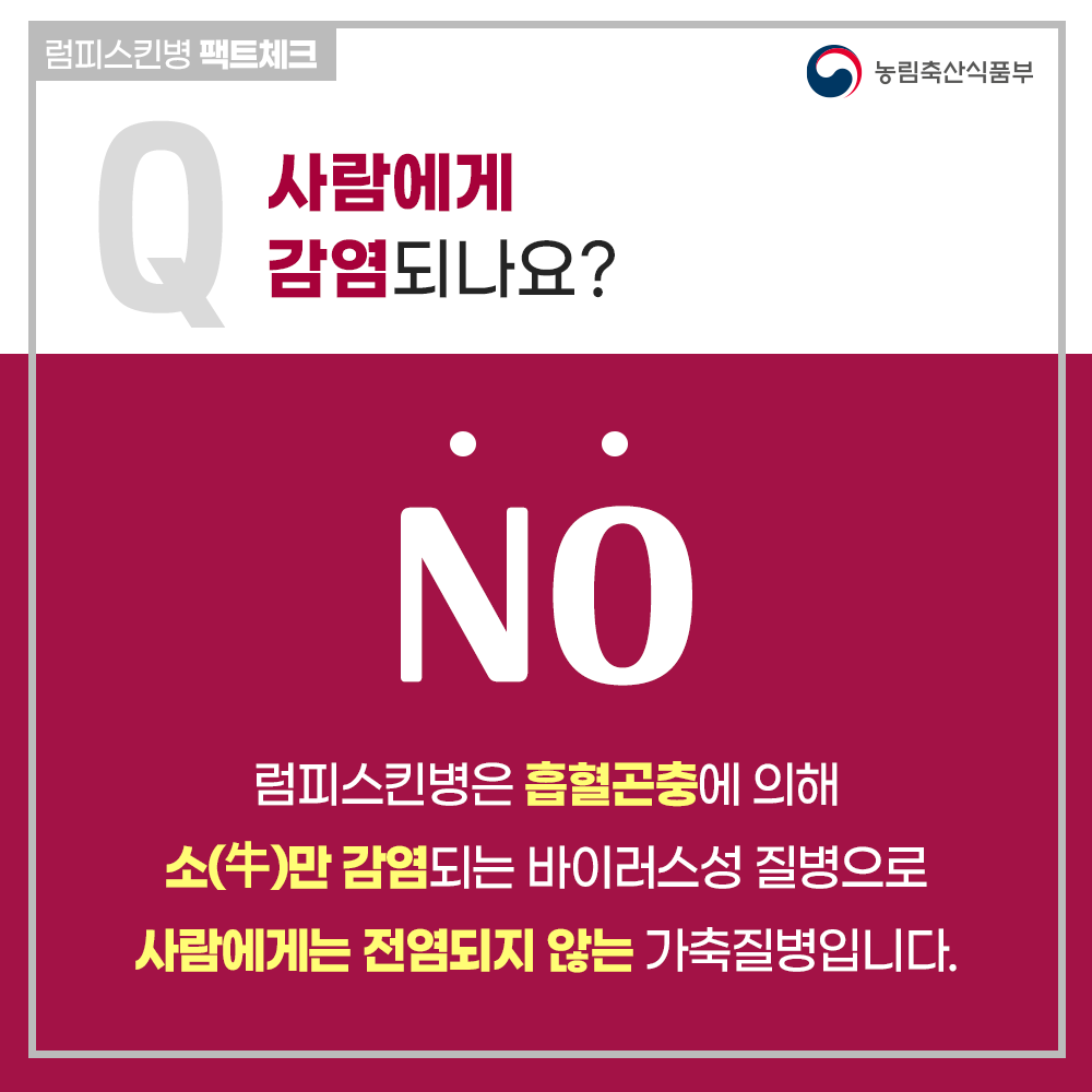 02 내지.png 이미지입니다.