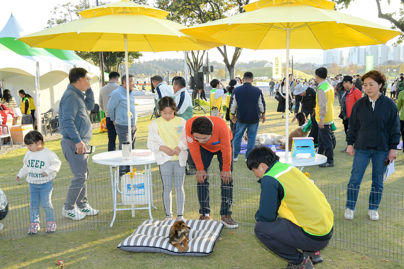 지난 28일 열린 반려동물 문화한마당에서 입양을 기다리는 반려견