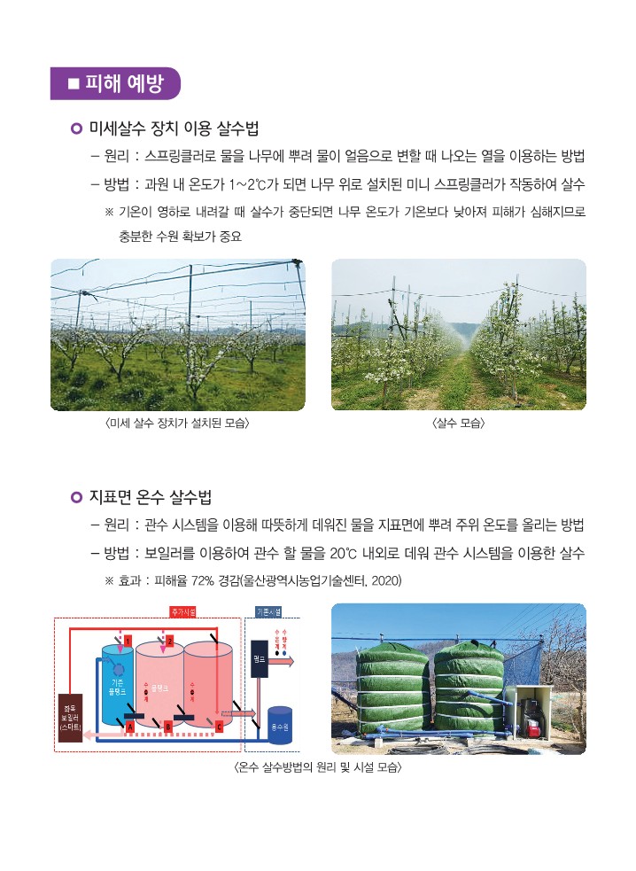 과수 개화기 저온 서리 피해 예방법_2.jpg 이미지입니다.